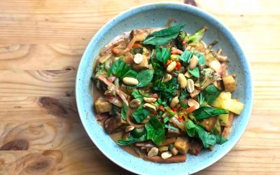 Legumes Satay com Tofu – delicioso, rápido e simples
